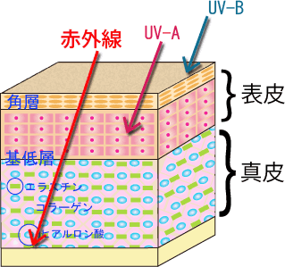 近赤外線をカットするべき理由は光老化〰イメージ〰