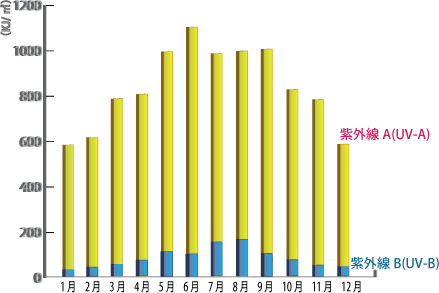 紫外線の月別紫外線量・紫外線 グラフ〰イメージ〰